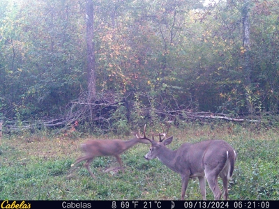 Land For Sale In Shannon County Missouri - image 39