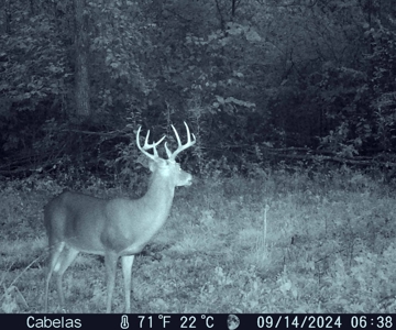 Land For Sale In Shannon County Missouri - image 41