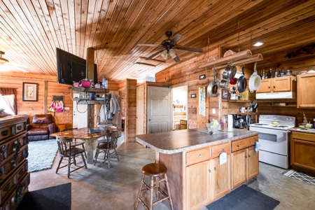 Private Waterfront Retreat On Tn River, 2 Homes, Boat Ramp - image 26