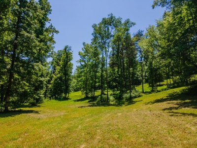 Private Waterfront Retreat On Tn River, 2 Homes, Boat Ramp - image 47