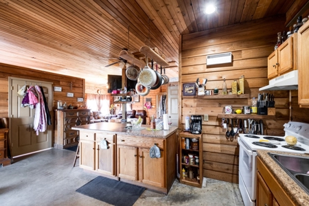 Private Waterfront Retreat On Tn River, 2 Homes, Boat Ramp - image 27