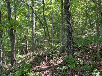Hunting and Recreation Property for Sale in Marshall, Ar - image 21