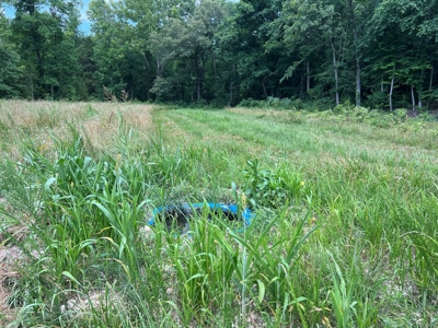Hunting and Recreation Property for Sale in Marshall, Ar - image 27