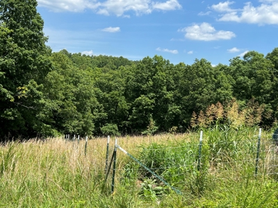 Hunting and Recreation Property for Sale in Marshall, Ar - image 31