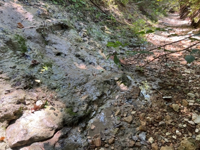 Hunting and Recreation Property for Sale in Marshall, Ar - image 15