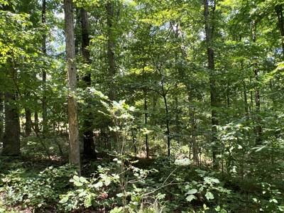 Hunting and Recreation Property for Sale in Marshall, Ar - image 35