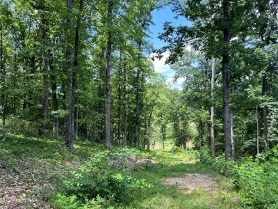 Hunting and Recreation Property for Sale in Marshall, Ar - image 29