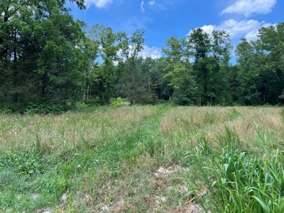 Hunting and Recreation Property for Sale in Marshall, Ar - image 28
