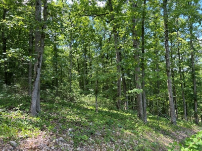 Hunting and Recreation Property for Sale in Marshall, Ar - image 30