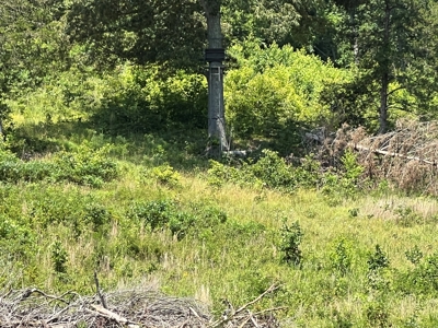 Hunting and Recreation Property for Sale in Marshall, Ar - image 25