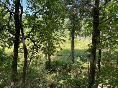 Hunting and Recreation Property for Sale in Marshall, Ar - image 24