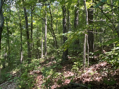 Hunting and Recreation Property for Sale in Marshall, Ar - image 19