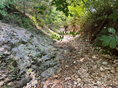 Hunting and Recreation Property for Sale in Marshall, Ar - image 26