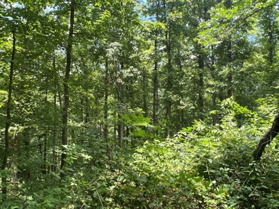 Hunting and Recreation Property for Sale in Marshall, Ar - image 34