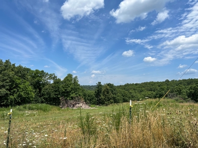 Hunting and Recreation Property for Sale in Marshall, Ar - image 13