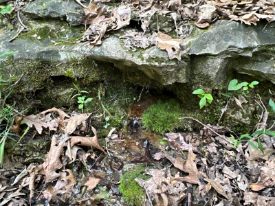 Hunting and Recreation Property for Sale in Marshall, Ar - image 17