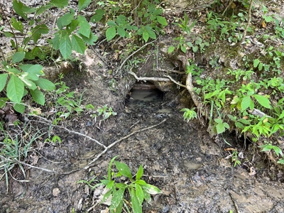 Hunting and Recreation Property for Sale in Marshall, Ar - image 16