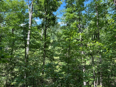 Hunting and Recreation Property for Sale in Marshall, Ar - image 22