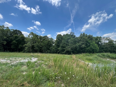 Hunting and Recreation Property for Sale in Marshall, Ar - image 32