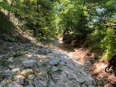 Hunting and Recreation Property for Sale in Marshall, Ar - image 14