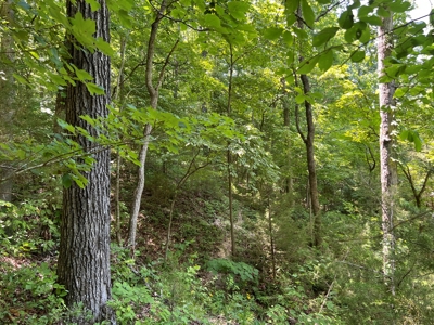 Hunting and Recreation Property for Sale in Marshall, Ar - image 23