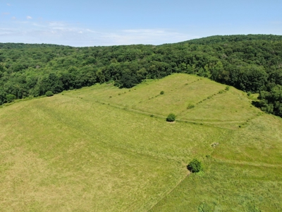 Columbia County 80 Acres with 2 Homes - image 21