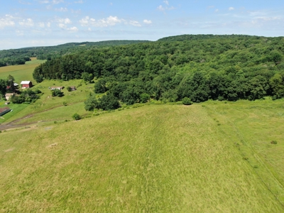 Columbia County 80 Acres with 2 Homes - image 32