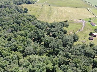 Columbia County 80 Acres with 2 Homes - image 37