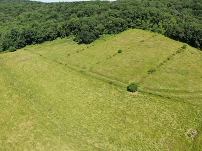 Columbia County 80 Acres with 2 Homes - image 30