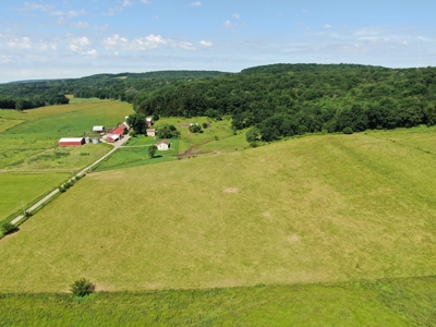 Columbia County 80 Acres with 2 Homes - image 3