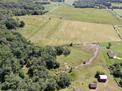 Columbia County 80 Acres with 2 Homes - image 9