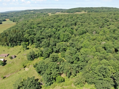 Columbia County 80 Acres with 2 Homes - image 34