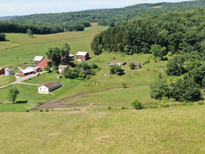 Columbia County 80 Acres with 2 Homes - image 31