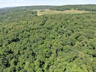 Columbia County 80 Acres with 2 Homes - image 35