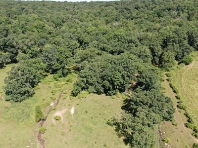 Columbia County 80 Acres with 2 Homes - image 41