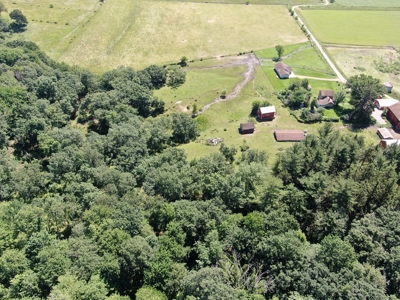 Columbia County 80 Acres with 2 Homes - image 38