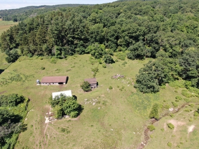 Columbia County 80 Acres with 2 Homes - image 10