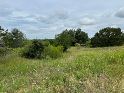 Lakeview Lots 419 and 420,  in The Hideout, Lake Brownwood - image 4