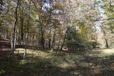 Land With Cabin For Sale In North Central Arkansas - image 45