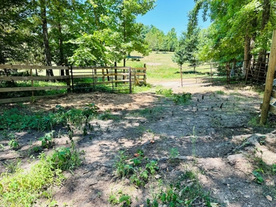 Land With Cabin For Sale In North Central Arkansas - image 31
