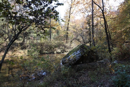 Land With Cabin For Sale In North Central Arkansas - image 44
