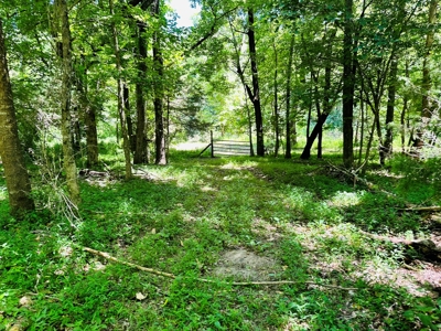 Land With Cabin For Sale In North Central Arkansas - image 22