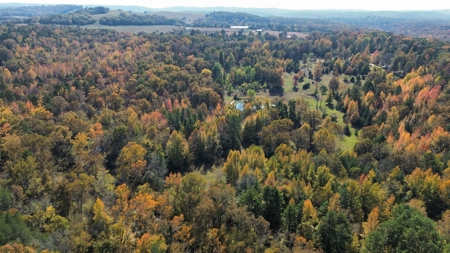 Land With Cabin For Sale In North Central Arkansas - image 39