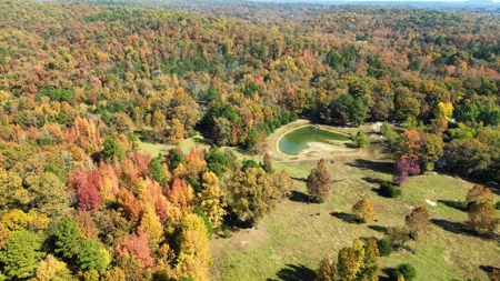 Land With Cabin For Sale In North Central Arkansas - image 38