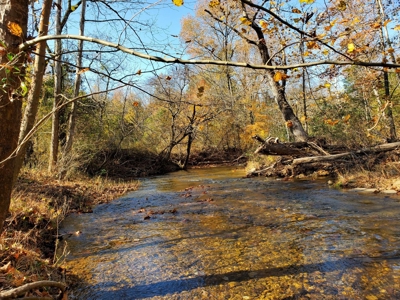 Land With Cabin For Sale In North Central Arkansas - image 2
