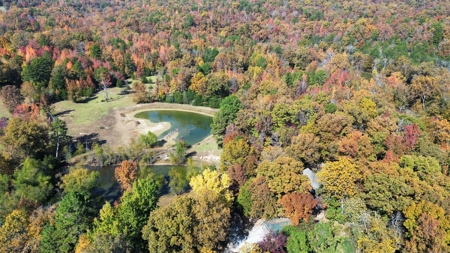 Land With Cabin For Sale In North Central Arkansas - image 37
