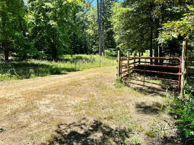 Land With Cabin For Sale In North Central Arkansas - image 30