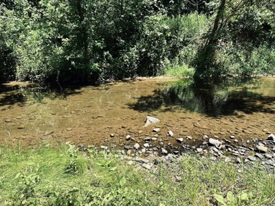 Land With Cabin For Sale In North Central Arkansas - image 24