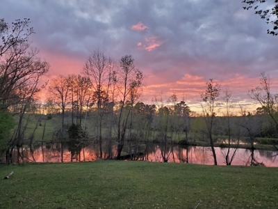 Land With Cabin For Sale In North Central Arkansas - image 35