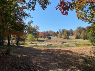 Land With Cabin For Sale In North Central Arkansas - image 50